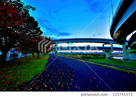Arakawa River: Evening view of the Goshikizakura Bridge and Kohoku Junction, with the autumn cherry blossoms turning red Arakawa River: Evening view of the Goshikizakura Bridge and Kohoku Junction, with the autumn cherry blossoms turning red 133741572