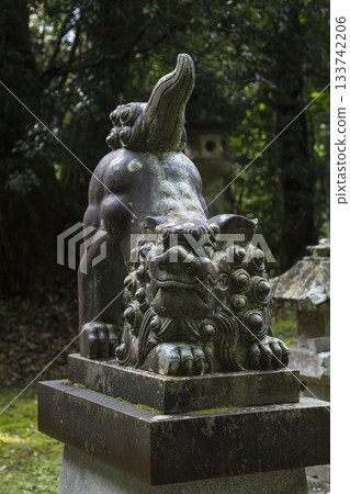 Guardian dog statues at the entrance to the shrine Guardian dog statues at the entrance to the shrine 133742206
