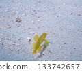 Yellow silver goby fish on white sand 133742657