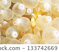 A juvenile clownfish peers out from inside a sea anemone 133742669