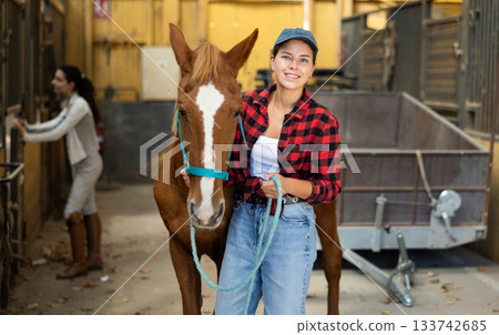 Positive female worker takes horse out of stall, holds animal by bridle and leads pet for walk Positive female worker takes horse out of stall, holds animal by bridle and leads pet for walk 133742685