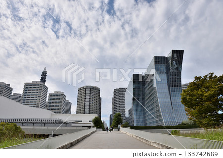 Yokohama Minato Mirai seen from Rinko Park lined with skyscrapers 133742689