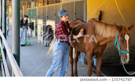 European girl has tied horse to hitching post and is combing animals croup 133742797