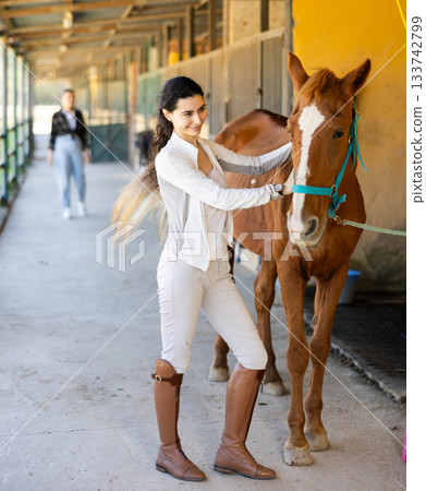Armenian girl has tied horse to hitching post and is combing animals mane 133742799