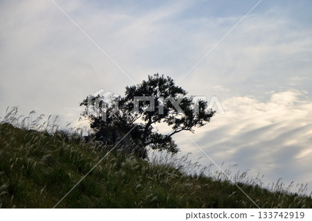 太陽能量透過雲層的縫隙洩漏出來。 太陽能量透過雲層的縫隙洩漏出來。 133742919