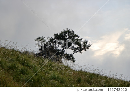 金色的光芒與壯觀的雲海 金色的光芒與壯觀的雲海 133742920