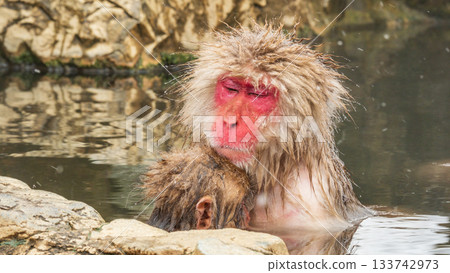 雪猴（地獄谷雪猴公園） 133742973