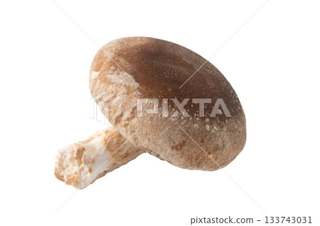 透明背景上的一個香菇（png） 133743031