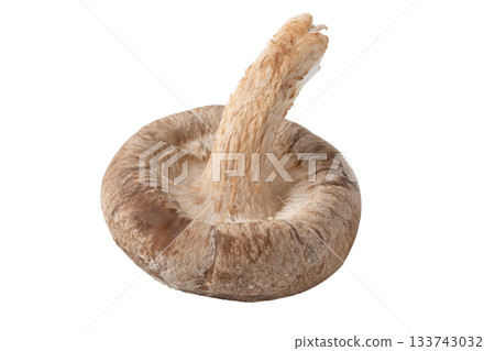 透明背景上的一個香菇(png) 透明背景上的一個香菇(png) 133743032