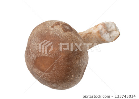 透明背景上的一個香菇（png） 133743034