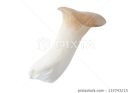 透明背景上的一個杏鮑菇（png） 133743215
