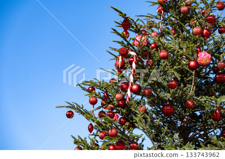 Christmas 133743962