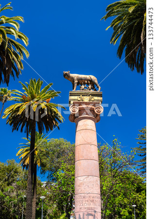 Statue of the Capitoline Wolf, Lupa Capitolina on a column in Parque Italia, Valparaiso. Palm trees frame the monument under a blue sky 133744473
