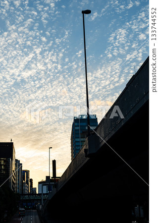 Sunset in central Tokyo: Cirrocumulus clouds and city silhouette Sunset in central Tokyo: Cirrocumulus clouds and city silhouette 133744552