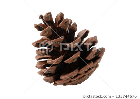 One pine cone on a transparent background (png) One pine cone on a transparent background (png) 133744670