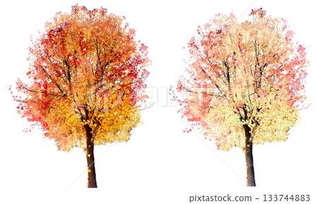 秋葉樹（楓樹）水彩套裝 133744883