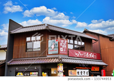 Scenery of Shinmon Street at Izumo Taisha Shrine 133744953