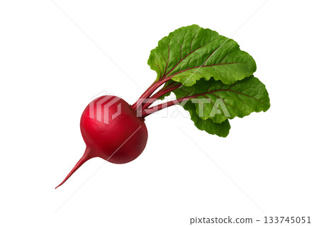 Vegetables (red turnip) 133745051