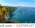 [Tanohata Village, Iwate Prefecture] Unonosu Cliffs are cliffs where the feet shrink 133745137