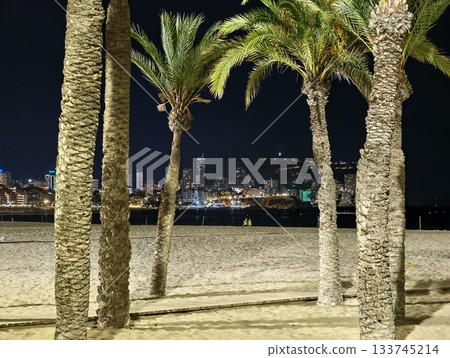 distant skyline reflected softly on water, silhouetted palms frame distant city against calm water 133745214