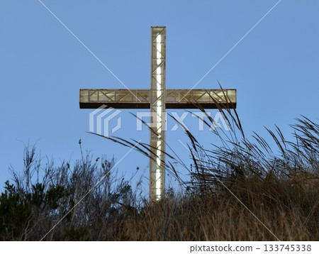 metal panels reflect sunlight vividly, vertical composition featuring metallic panels and dry 133745338