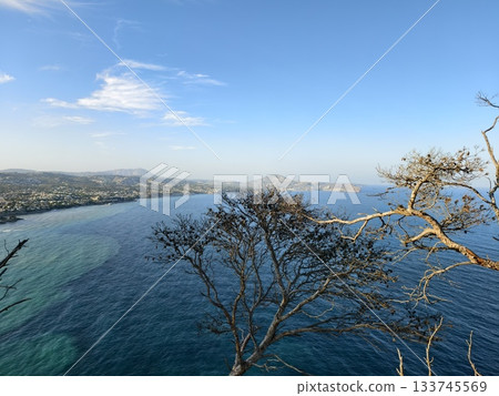 breathtaking seaside view with lone tree, vast coastal outlook featuring turquoise bay and windswept 133745569