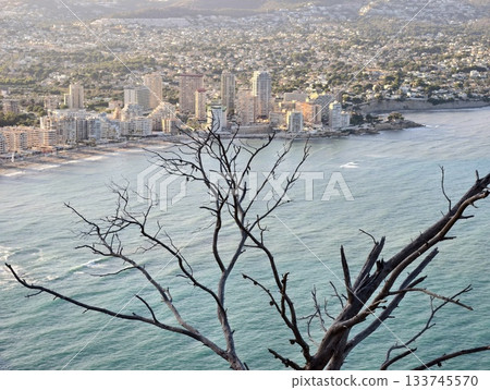 branches frame city, foreground branches frame pastelcolored buildings over water and mountains branches frame city, foreground branches frame pastelcolored buildings over water and mountains 133745570