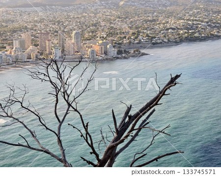 silhouette of dark branch against shimmering turquoise bay with resort skyline and distant headland silhouette of dark branch against shimmering turquoise bay with resort skyline and distant headland 133745571