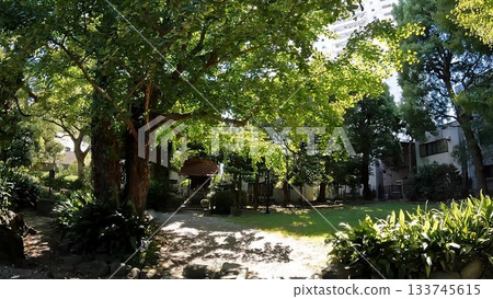 駒留稻荷神社，位於東京都墨田區橫網1丁目，原墨田區安田庭園內。 133745615