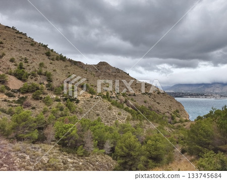 ridge overlooking bay, beautiful coastal ridge offers panoramic views of bay and surrounding pines ridge overlooking bay, beautiful coastal ridge offers panoramic views of bay and surrounding pines 133745684