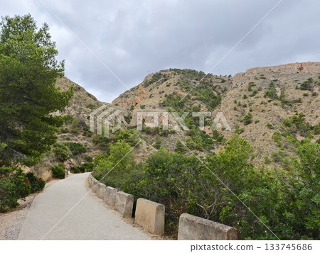 peaceful forest trail, quiet canyon with pine trees, tranquil woodland path amidst rocks and pines peaceful forest trail, quiet canyon with pine trees, tranquil woodland path amidst rocks and pines 133745686