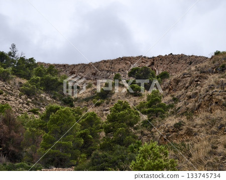 tall canyon slopes, pinecovered rugged canyon terrain, narrow gullies and rugged terrain beckon tall canyon slopes, pinecovered rugged canyon terrain, narrow gullies and rugged terrain beckon 133745734
