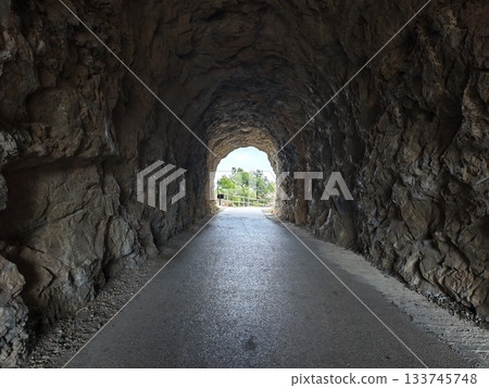 colorful tunnel with vibrant surroundings, tunnel entrance surrounded by lively greenery and rocks 133745748