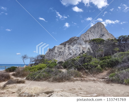 sunlit elevation overlooking rugged shoreline, bright hill rising above coastal shrubs and rocky 133745769