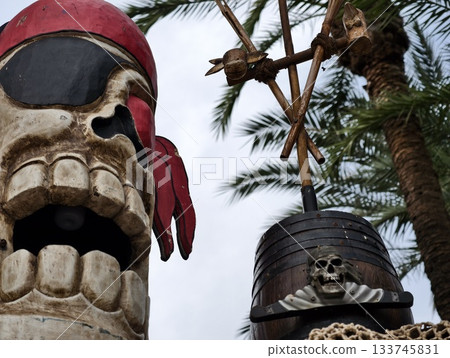 pirate skull with parrot and barrel, weathered pirate skull with parrot and nautical decorations pirate skull with parrot and barrel, weathered pirate skull with parrot and nautical decorations 133745831