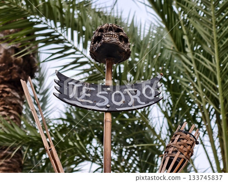 creepy pirate skull on treasure signpost, spooky pirate skull with palm fronds and neartorch creepy pirate skull on treasure signpost, spooky pirate skull with palm fronds and neartorch 133745837