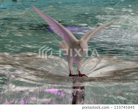 graceful white dove spreading its wings amidst shimmering water and vibrant lighting effects graceful white dove spreading its wings amidst shimmering water and vibrant lighting effects 133745845