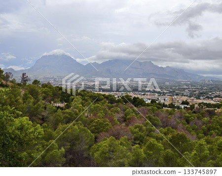 peaceful nature escape, serene mountain forest retreat, calm pine woodland with mountains and town 133745897