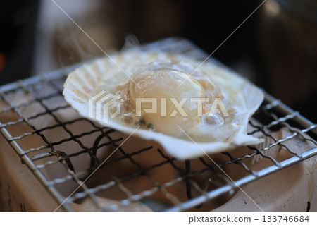 Scallop Scallop 133746684