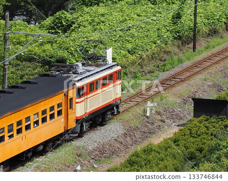 大井川鐵道有限公司特快列車托馬斯小火車4號 大井川鐵道有限公司特快列車托馬斯小火車4號 133746844