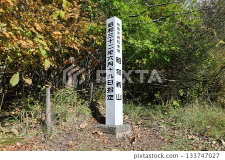 昭和新贊 133747027