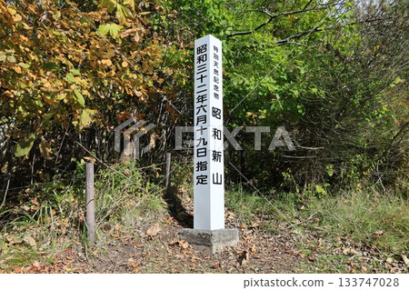 昭和新贊 133747028