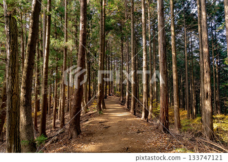 Mt. Takao - Mt. Jimba route hiking trail 01 Mt. Takao - Mt. Jimba route hiking trail 01 133747121