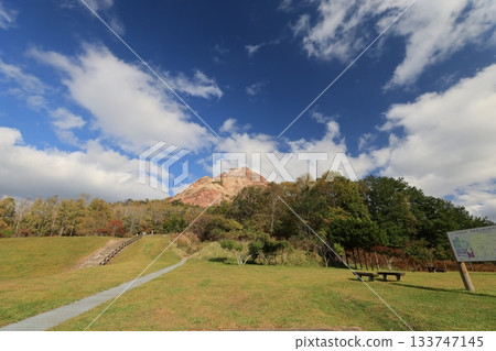 昭和新贊 133747145