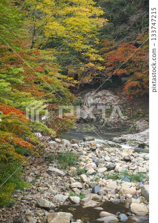 Autumn leaves mountain and river Autumn leaves mountain and river 133747215