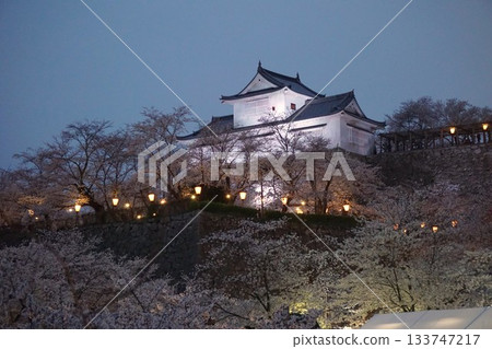 津山城堡和櫻花 津山城堡和櫻花 133747217