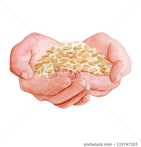 Hands gently holding wheat grain. Hand-painted watercolor illustration isolated on white. Premium clip art isolated on white, perfect for bakery branding, packaging, recipes, and artisan food projects Hands gently holding wheat grain. Hand-painted watercolor illustration isolated on white. Premium clip art isolated on white, perfect for bakery branding, packaging, recipes, and artisan food projects 133747265