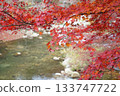 River flow and autumn leaves 133747722