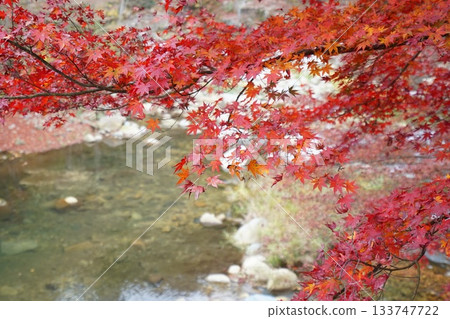 River flow and autumn leaves 133747722