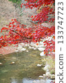 River and autumn leaves 133747723